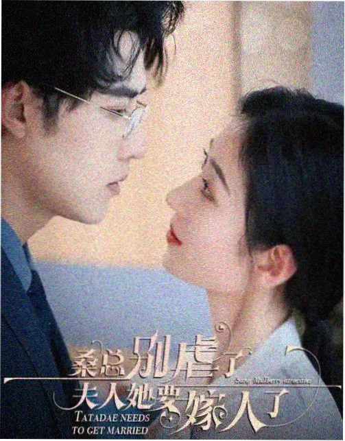 苍兰诀 西瓜免费观看电视剧